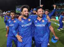 粒进球正源 粒进球正源