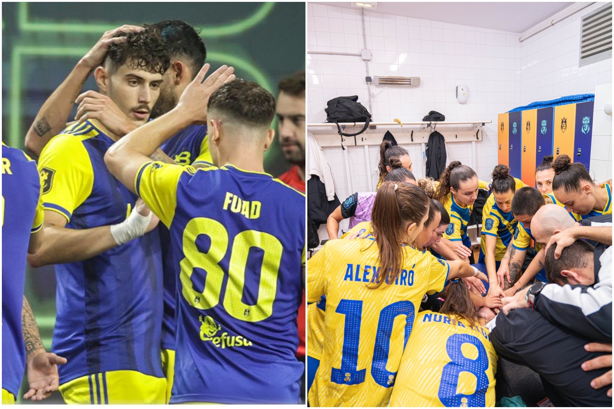 阿森纳若希 阿森纳若希